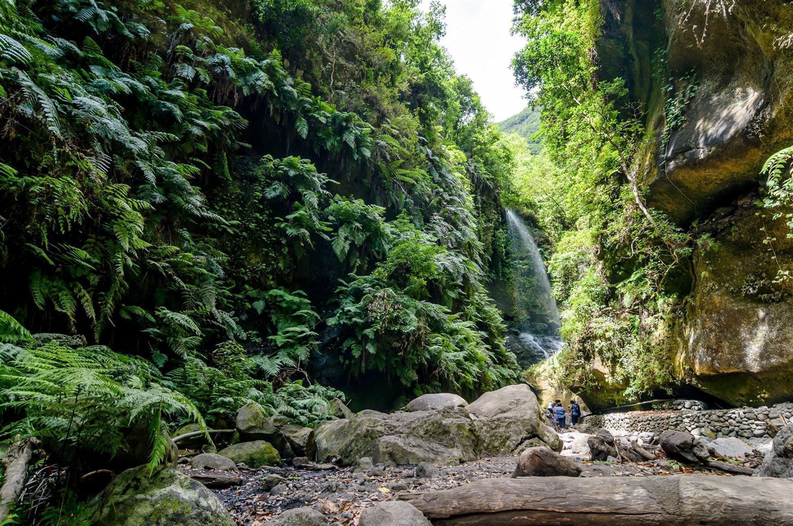 Wasserfall 